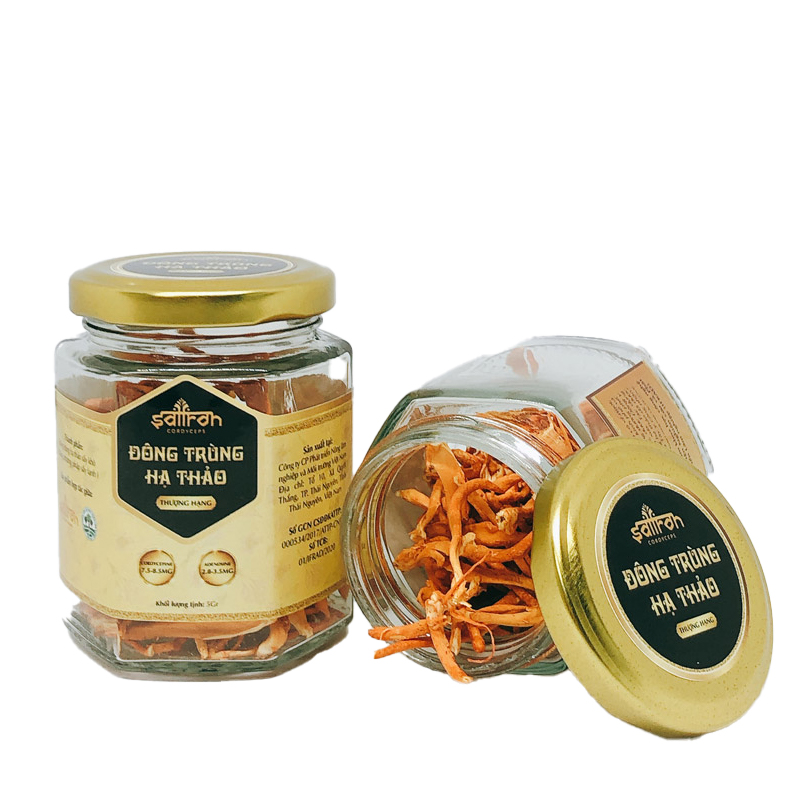 dong-trung-ha-thao (1)