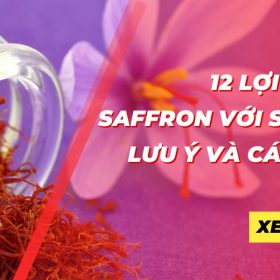 Tổng hợp 12 lợi ích của Saffron đối với sức khỏe và một số lưu ý khi sử dụng