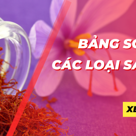 Bảng so sánh các loại Saffron, loại nào phù hợp với bạn?