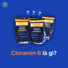 Hướng dẫn sử dụng Cloramin B trong công tác phòng chống dịch bệnh